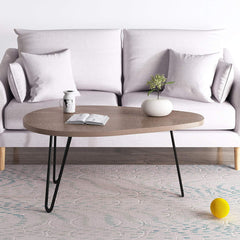 STELLA Walnut Oval Coffee Table with Curved Metal Legs